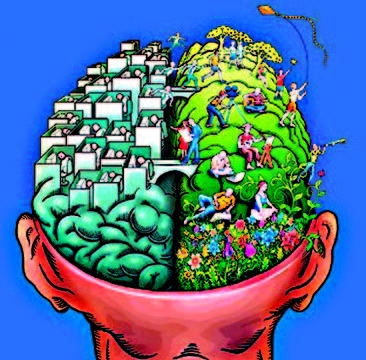 brain map