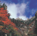 Ecotourism