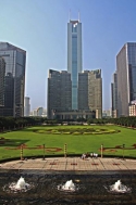 Green market in china